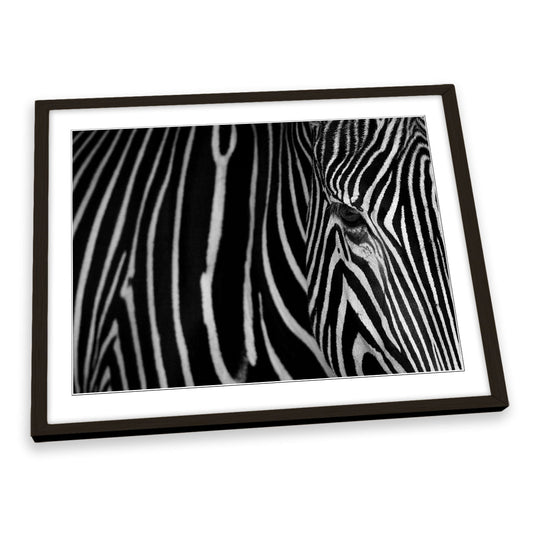 Zebra Stripes Animal FRAMED ART PRINT Picture Artwork
