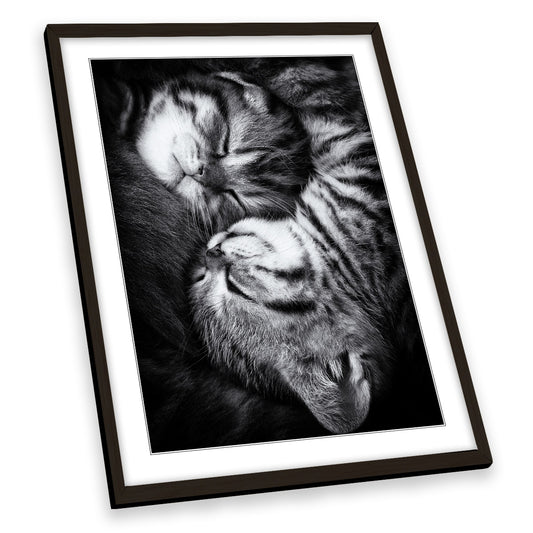 Yin and Yang Cute Sleeping Cats Kitten Family FRAMED ART PRINT Picture Portrait Artwork