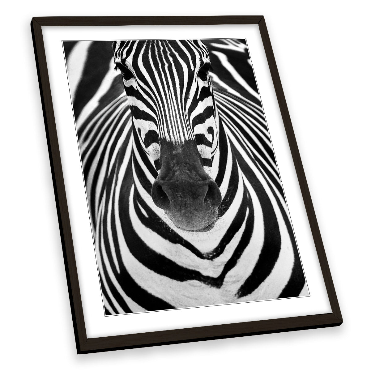 Zebra Stripes Animal Black and White FRAMED ART PRINT Picture Portrait Artwork