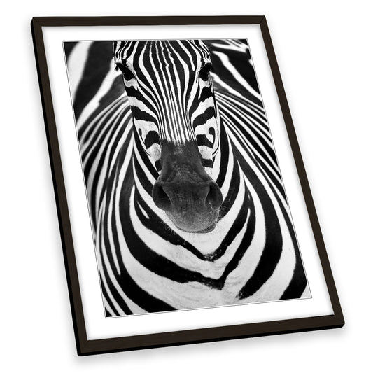 Zebra Stripes Animal Black and White FRAMED ART PRINT Picture Portrait Artwork