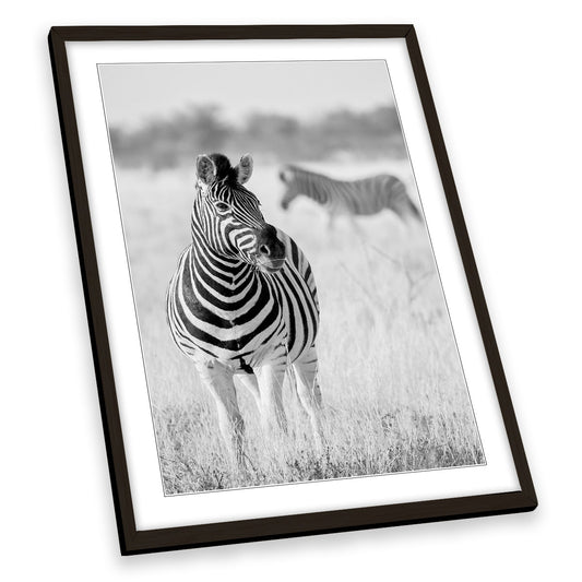Zebra Black and White Wildlife Safari FRAMED ART PRINT Picture Portrait Artwork