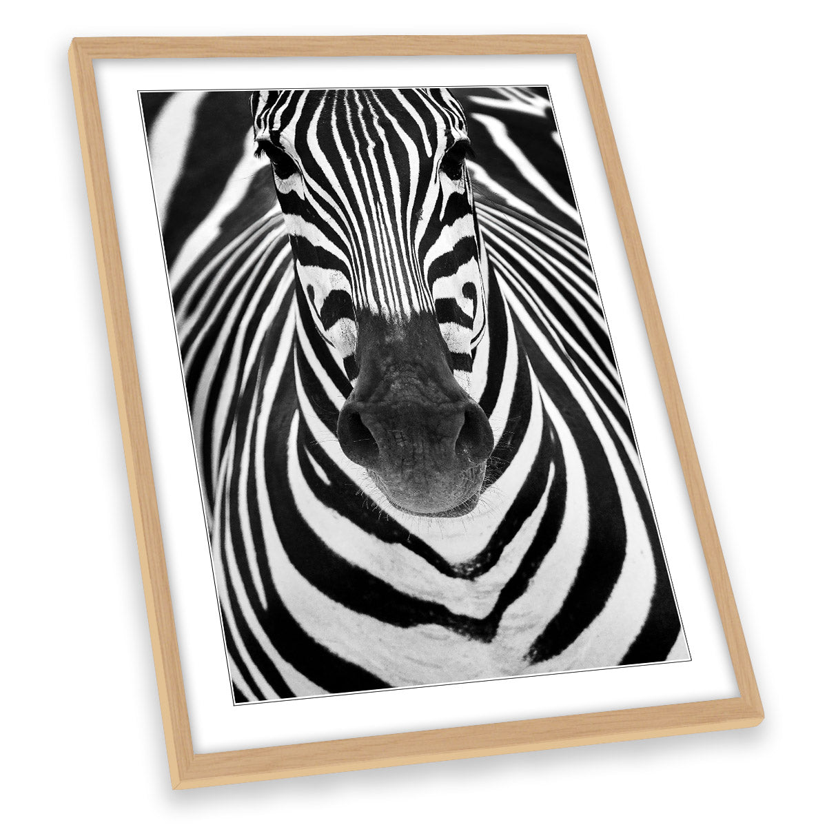 Zebra Stripes Animal Black and White FRAMED ART PRINT Picture Portrait Artwork