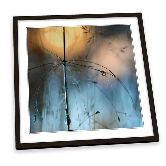 Almost Dark Nature Waterdrop Floral FRAMED ART PRINT Picture Square Artwork
