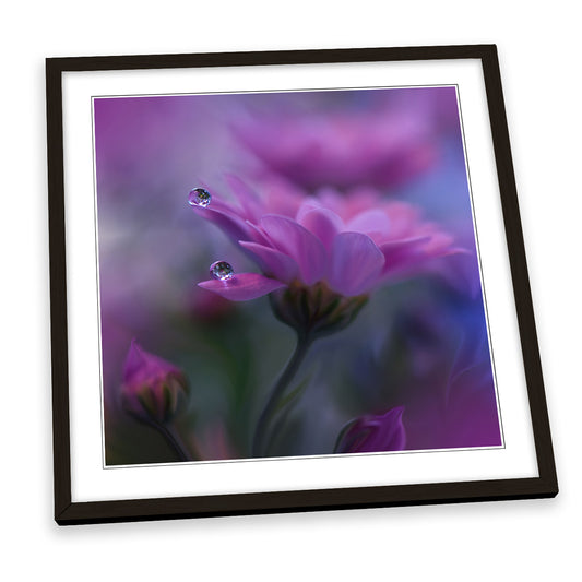 All of Me Gentle Pink Petal Water Drops FRAMED ART PRINT Picture Square Artwork