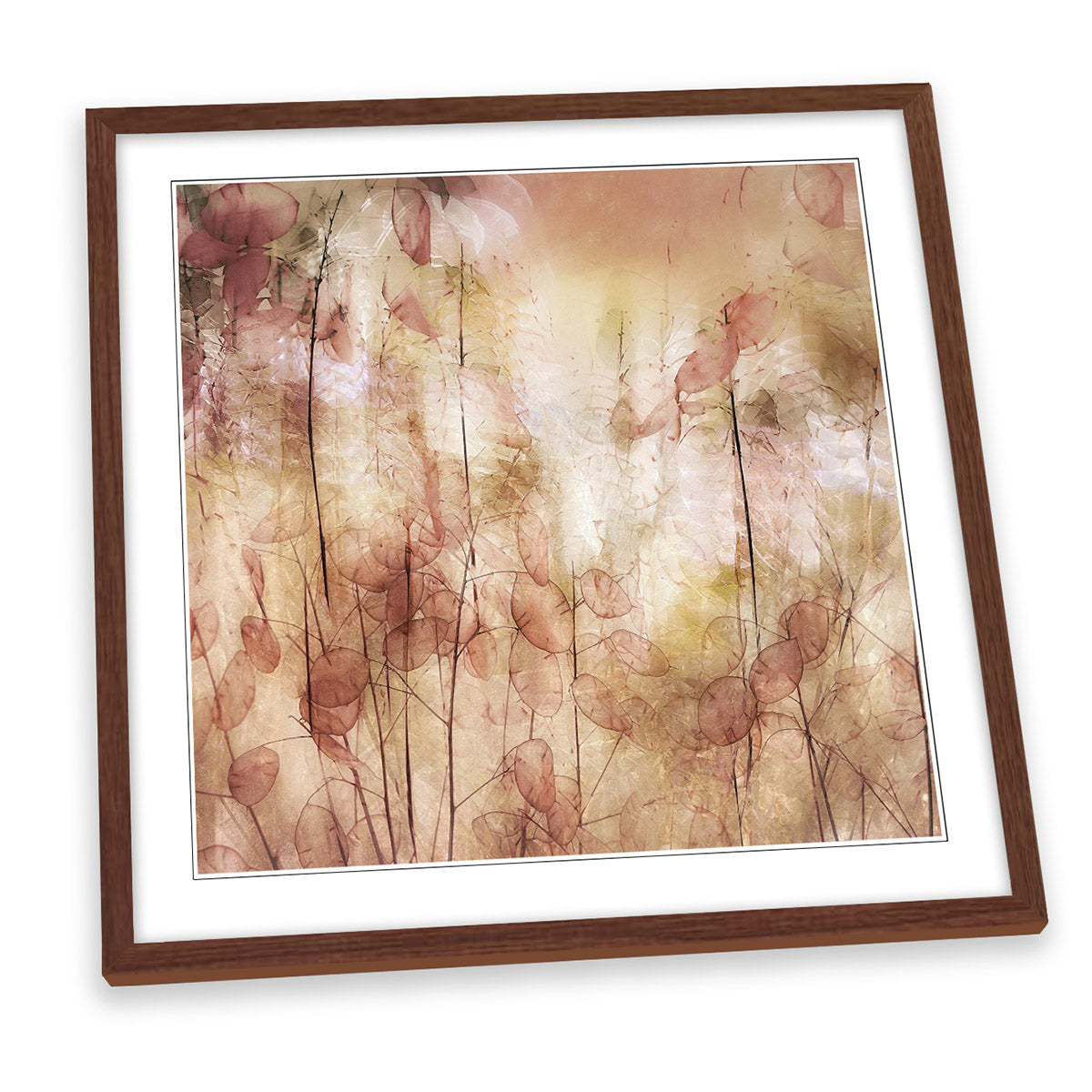 Abstract Floral Seed Pods FRAMED ART PRINT Picture Square Artwork