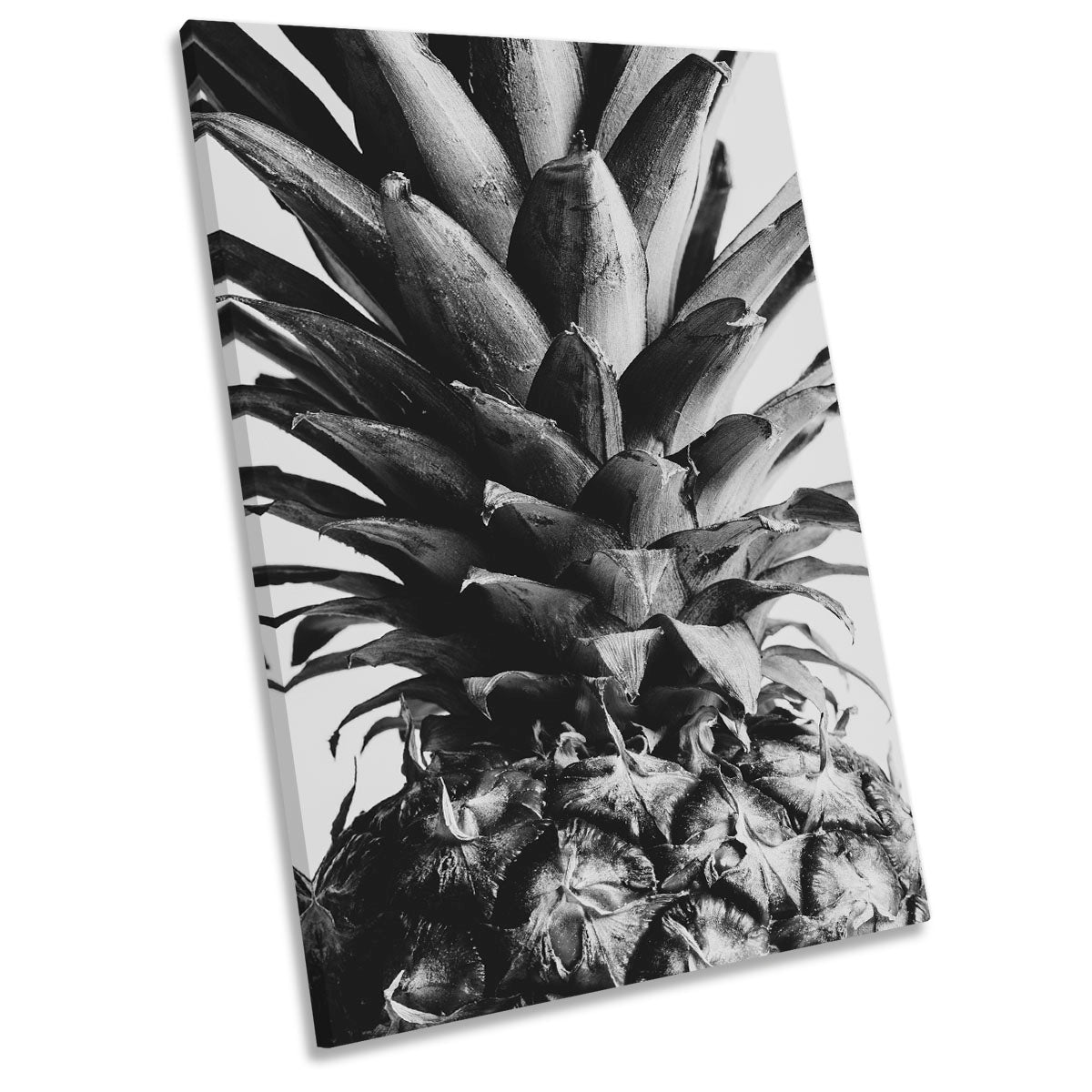Pineapple Close Up Black and White Kitchen Modern CANVAS WALL ART Portrait Picture Print