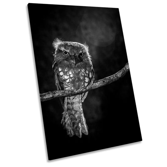 Alone in the Night Owl Branch Wildlife CANVAS WALL ART Portrait Picture Print