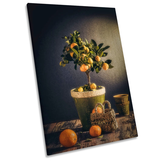 Winter Pots Basket Floral Plant Still Life CANVAS WALL ART Portrait Picture Print
