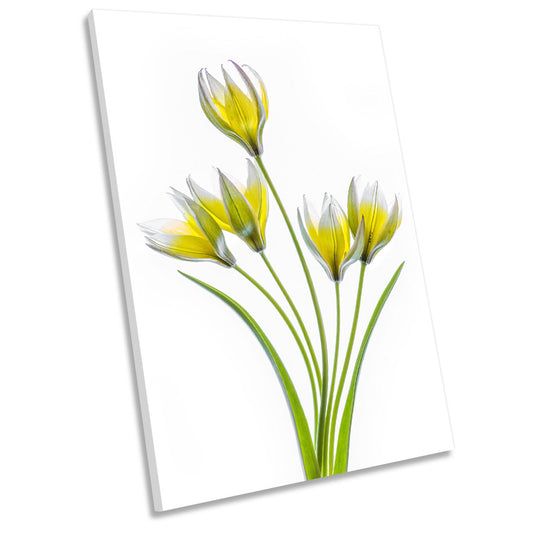 Yellow Tulip Flowers Floral Spring CANVAS WALL ART Portrait Picture Print
