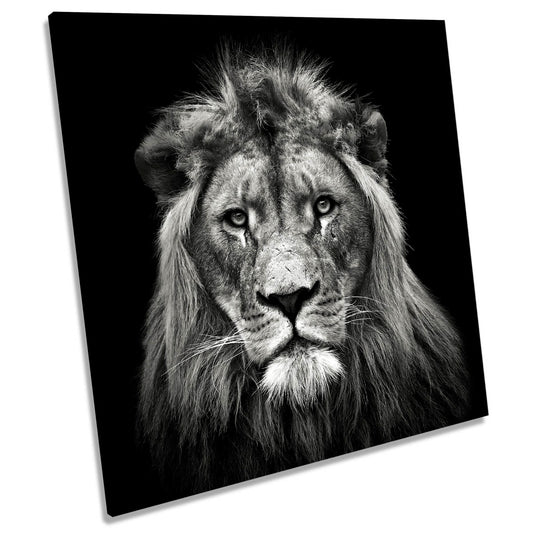 Young Male Lion Portrait