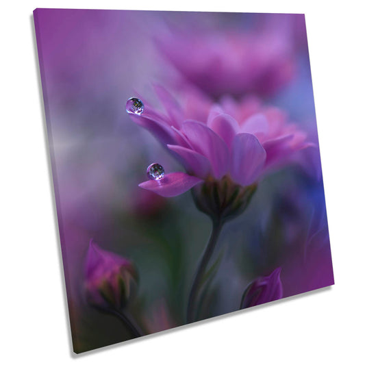 All of Me Gentle Pink Petal Water Drops