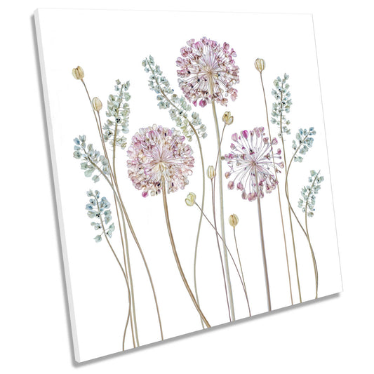 Allium Floral Flowers White