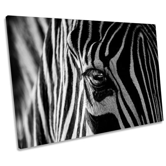 Abstract Zebra Black and White Stripe CANVAS WALL ART Print Picture