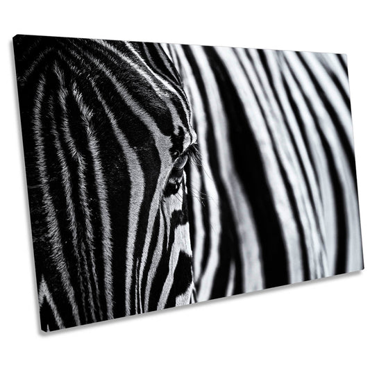 Zebra Stripes Black and White CANVAS WALL ART Print Picture