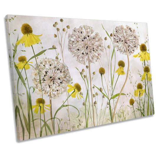 Alliums and Heleniums Floral Flowers CANVAS WALL ART Print Picture