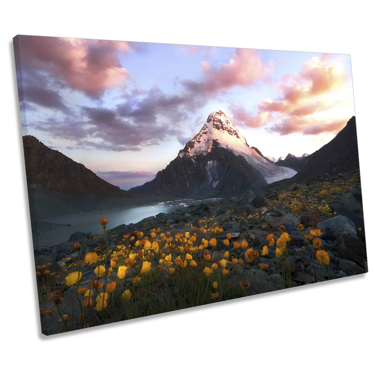 Yellow Flowers Mountain Landscape CANVAS WALL ART Print Picture