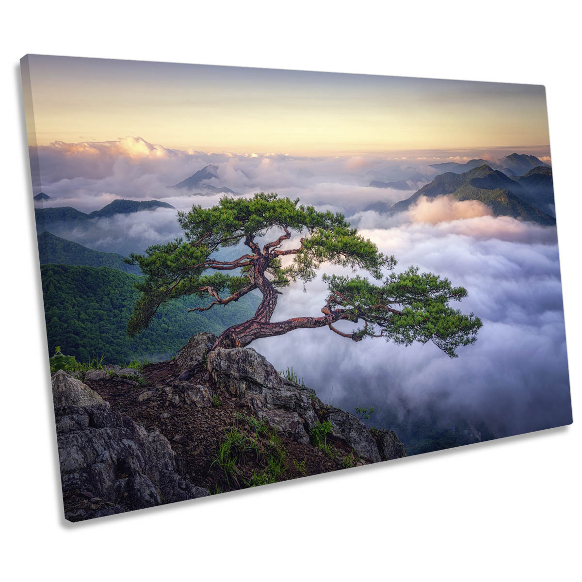 On the Rock Mountain Bonsai Tree Cloudy CANVAS WALL ART Print Picture