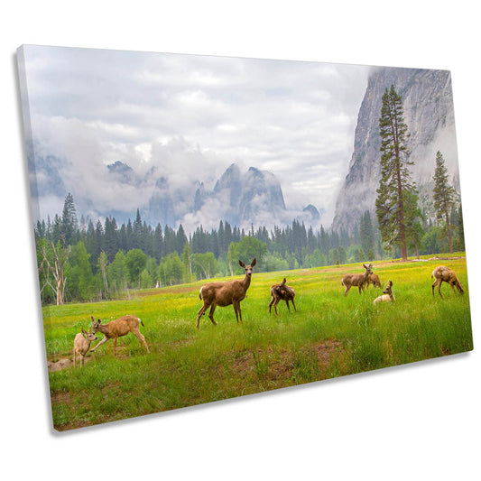 A Feeling of Ancient Time Deer Wildlife CANVAS WALL ART Print Picture