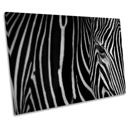 Zebra Stripes Animal CANVAS WALL ART Print Picture