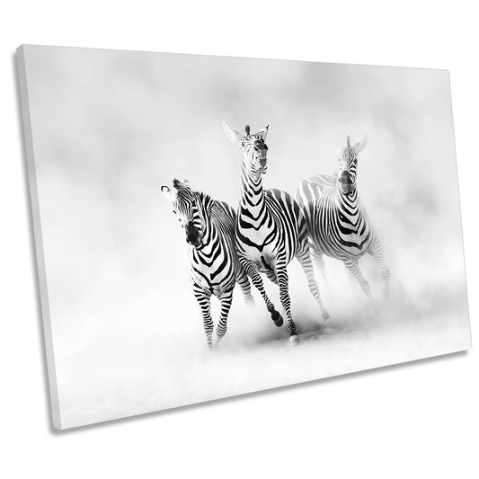 Zebras Dust Wildlife CANVAS WALL ART Print Picture