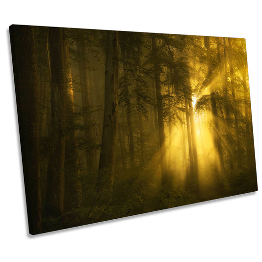 Yellow Morning Sunrise Forest CANVAS WALL ART Print Picture
