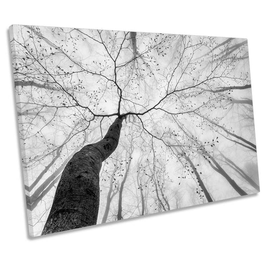 A View of the Tree Crown Forest CANVAS WALL ART Print Picture