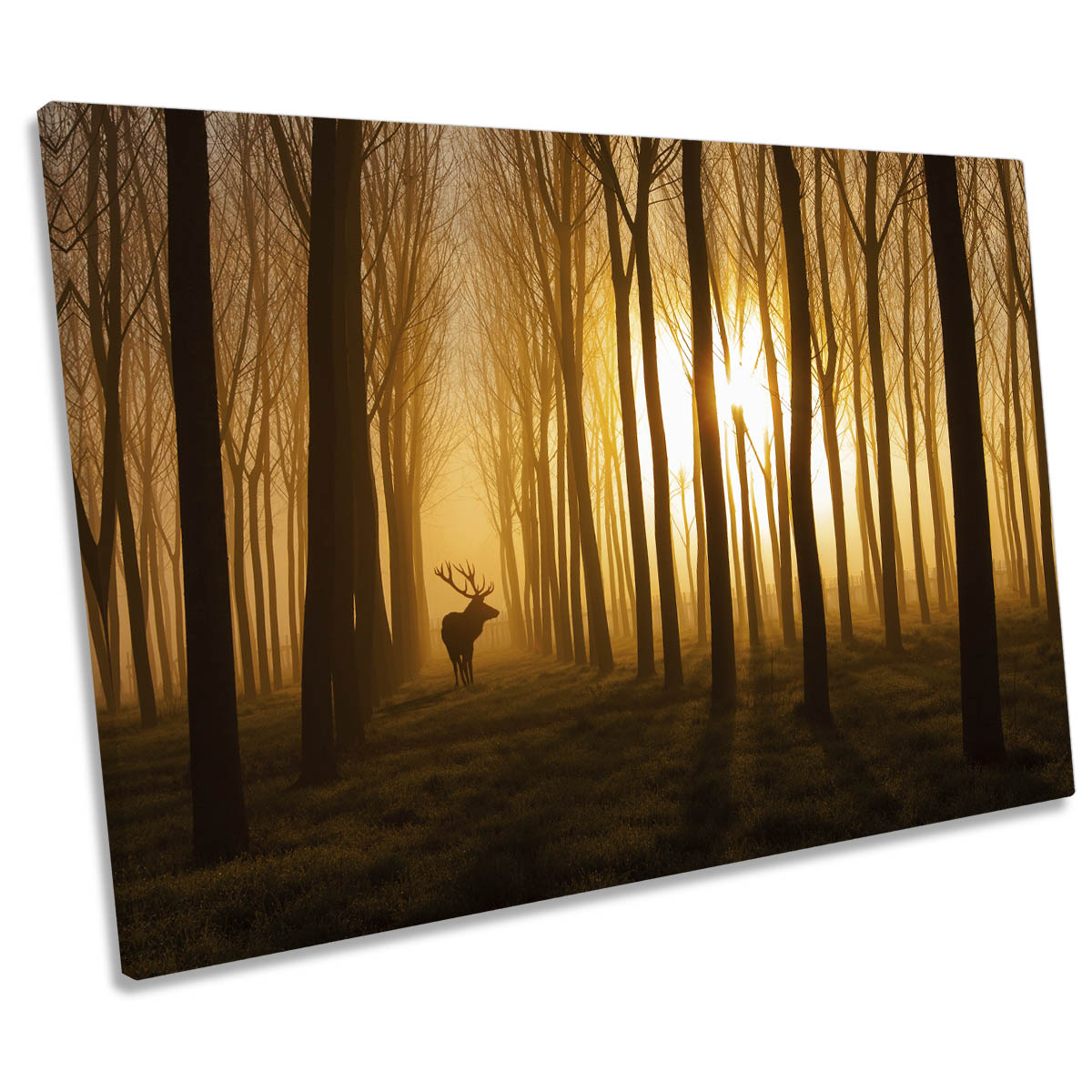 Once Upon a Time Stag Deer CANVAS WALL ART Print Picture