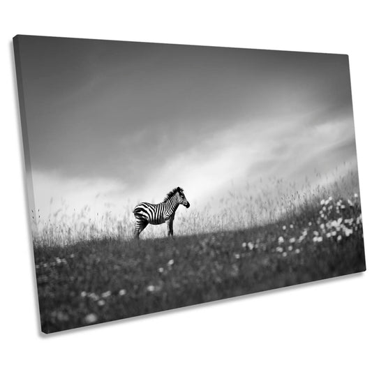 Zebra Stands on the Hill Wildlife CANVAS WALL ART Print Picture