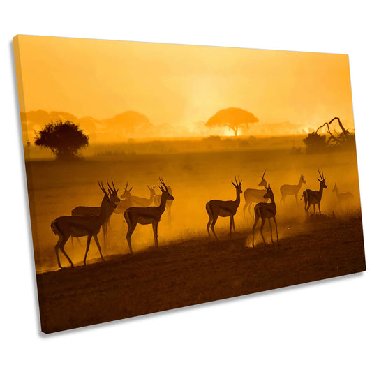 African Wildlife Sunset Nature Orange CANVAS WALL ART Print Picture