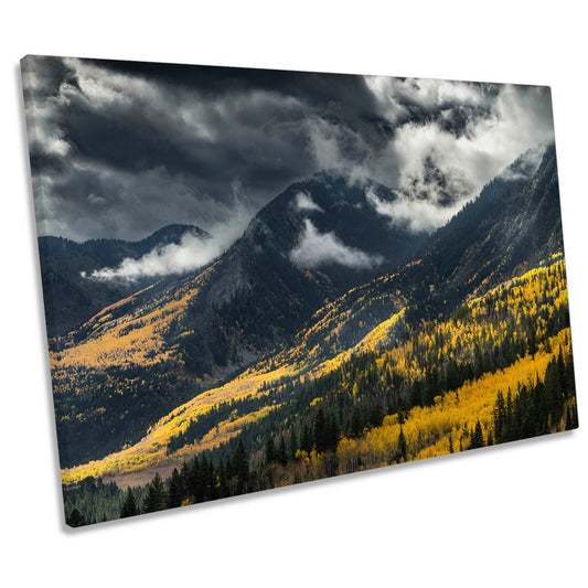 Yellow Trees Forest on the Mountain CANVAS WALL ART Print Picture