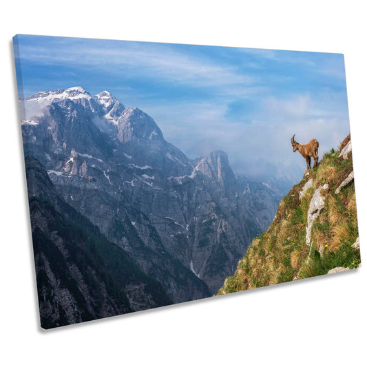 Alpine Ibex in the Mountains Goat CANVAS WALL ART Print Picture