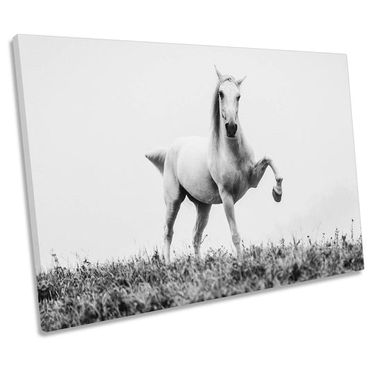 A Short Story about a White Beautiful Horse CANVAS WALL ART Print Picture