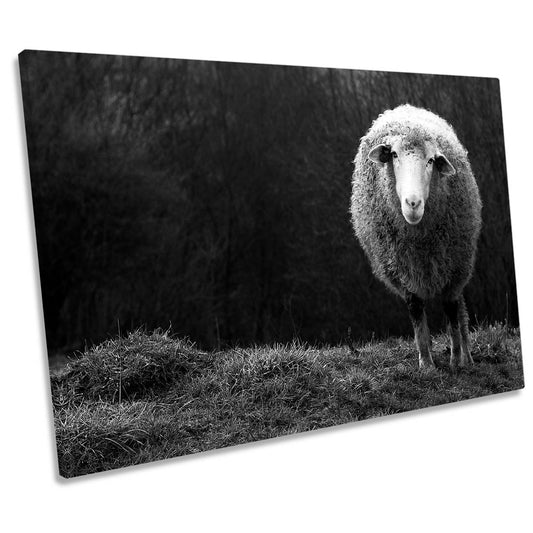 Wondering Sheep Farm CANVAS WALL ART Print Picture