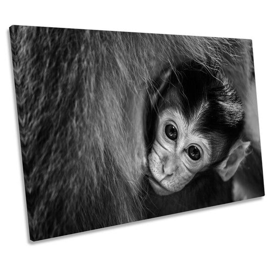 A Mother's Love Monkey CANVAS WALL ART Print Picture