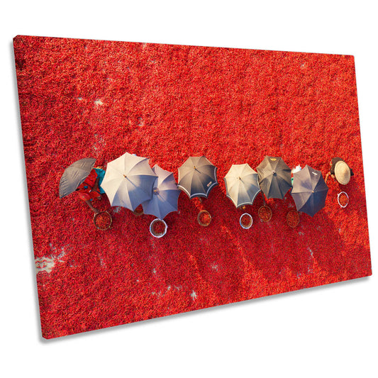 Working the Red Carpet Chilli Pickers Umbrella CANVAS WALL ART Print Picture