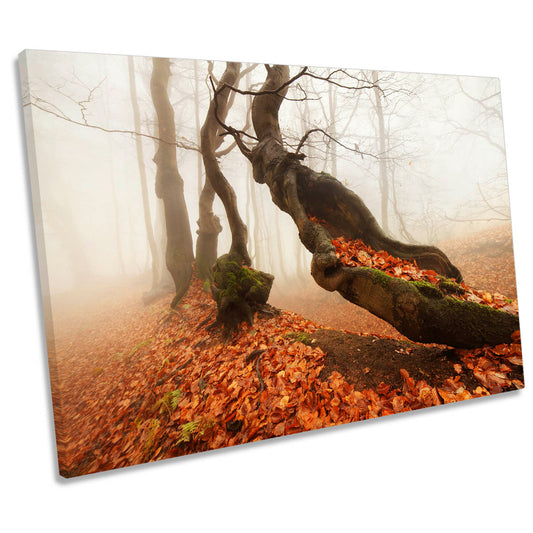 Aging Autumn Forest Trees Orange CANVAS WALL ART Print Picture