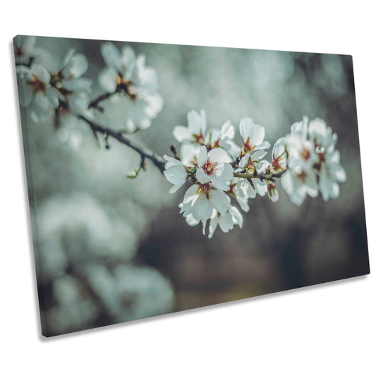 Almond Blossoms Floral Flowers Spring CANVAS WALL ART Print Picture