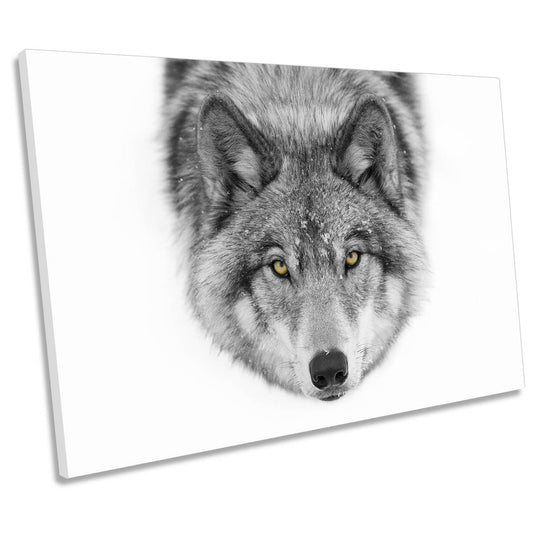 Yellow Eyes Timber Wolf Snow Wildlife CANVAS WALL ART Print Picture
