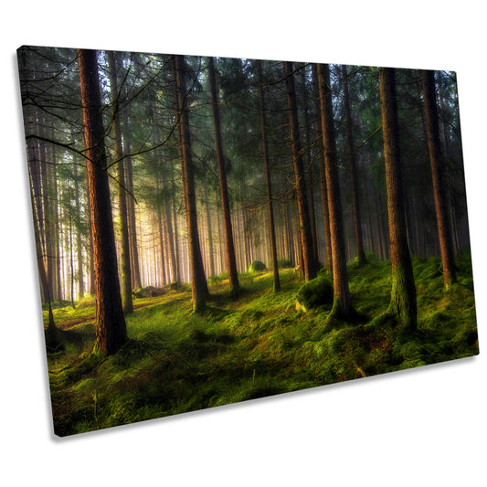 A Sense of Spring in the Forest Landscape CANVAS WALL ART Print Picture