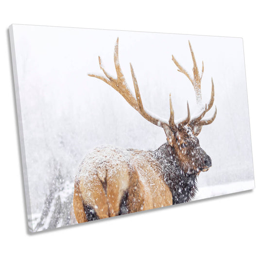 Winter Stag Deer Snow CANVAS WALL ART Print Picture