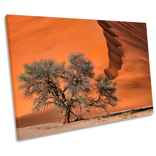 Acacia Tree in the Desert Sand Dune CANVAS WALL ART Print Picture